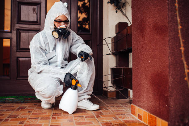 Reliable Bed Bug Control contractor in Bellaire, TX by Nex Pest Control
